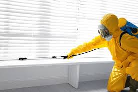 Best Termite Inspection and Treatment  in Winter Park, FL